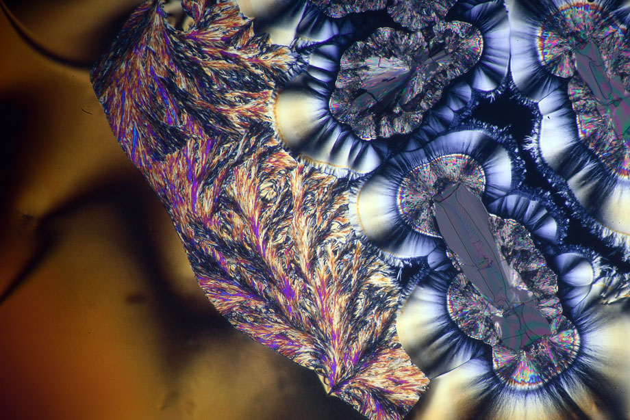 Ascorbic Acid crystals in crossed polarizers with Diaphot TMD and DIC condenser.